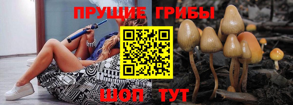 Псилоцибиновые грибы Psilocybe  Вход с VPN  Славянск-на-Кубани 