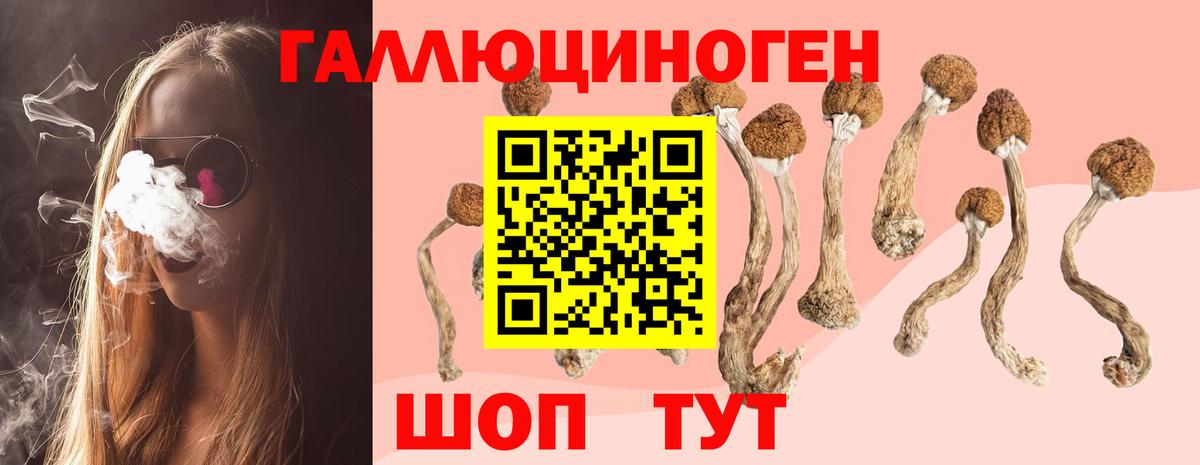 Галлюциногенные грибы ЛСД Славянск-на-Кубани